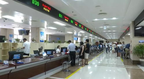 最多跑一次 一 键 接入 市区二手房交易登记又出新样本