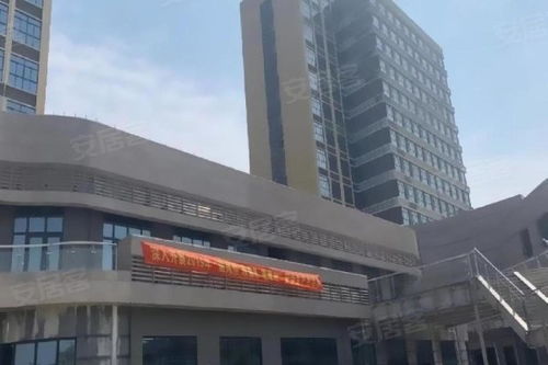 临港17区优点 不足,临港17区怎么样,临港17区周边房产中介经纪人评价