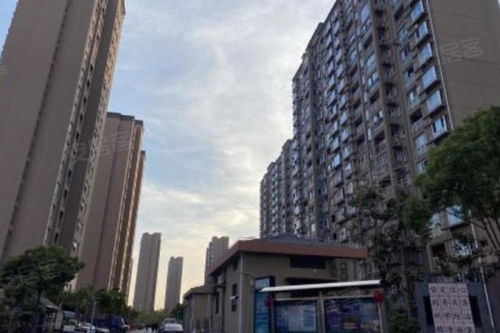 和家欣苑b区优点 不足,和家欣苑b区怎么样,和家欣苑b区周边房产中介经纪人评价