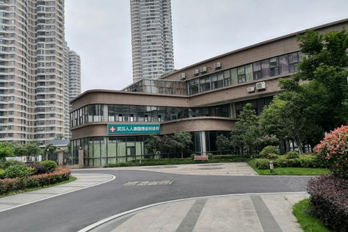 国博新城翘楚居优点 不足,国博新城翘楚居怎么样,国博新城翘楚居周边房产中介经纪人评价 武汉安居客