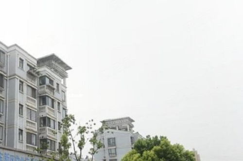 芳华路713弄小区综合评价 优点、不足与周边中介服务