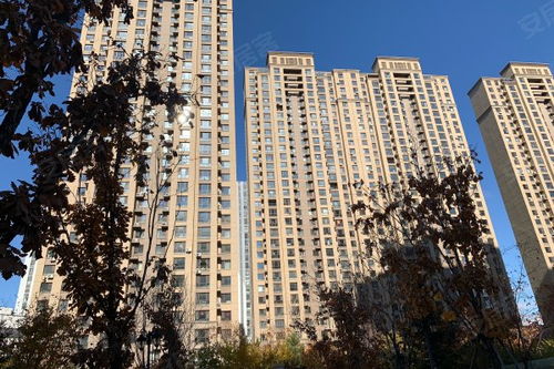 吾悦华府综合评析 优点与不足，以及中介服务与市场反馈