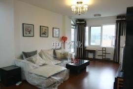 镇江京口区东吴路二手房买卖指南与中介服务详解